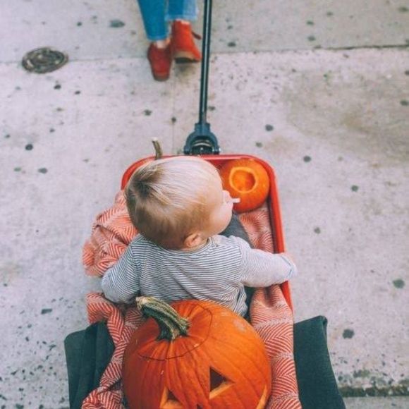 Meet your Posher, Alexa - Picture 1 of 1